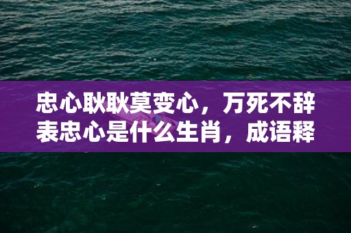 忠心耿耿莫变心，万死不辞表忠心是什么生肖，成语释义解释落实插图