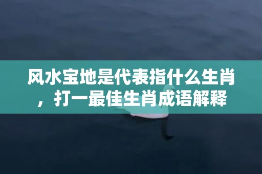 风水宝地是代表指什么生肖，打一最佳生肖成语解释插图