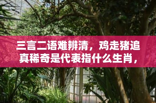 三言二语难辨清，鸡走猪追真稀奇是代表指什么生肖，打一最佳生肖成语解释插图