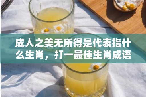 成人之美无所得是代表指什么生肖，打一最佳生肖成语解释插图