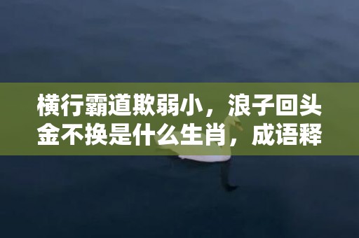 横行霸道欺弱小，浪子回头金不换是什么生肖，成语释义解释落实插图