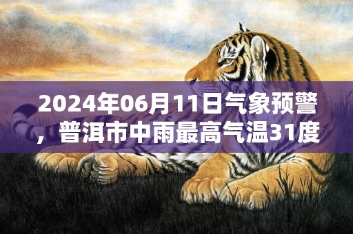 2024年06月11日气象预警，普洱市中雨最高气温31度