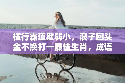 横行霸道欺弱小，浪子回头金不换打一最佳生肖，成语释义解释落实插图