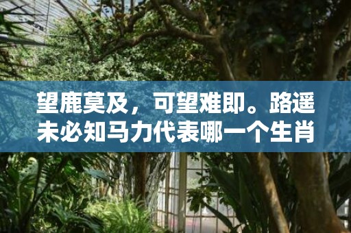 望鹿莫及，可望难即。路遥未必知马力代表哪一个生肖，成语释义解释落实插图