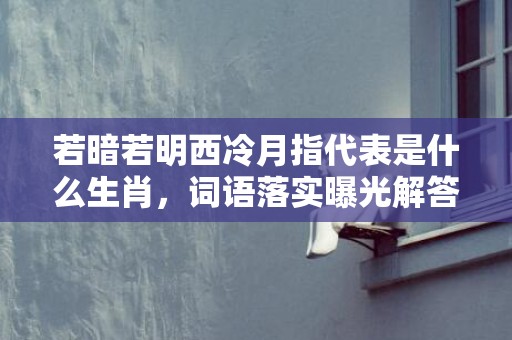 若暗若明西冷月指代表是什么生肖，词语落实曝光解答插图