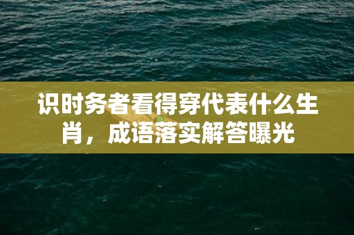 识时务者看得穿代表什么生肖，成语落实解答曝光插图