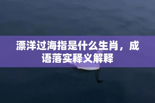 漂洋过海指是什么生肖，成语落实释义解释插图