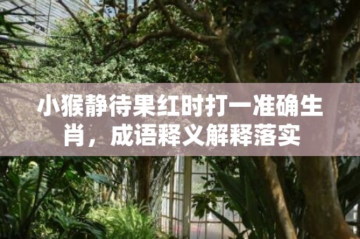 小猴静待果红时打一准确生肖，成语释义解释落实插图