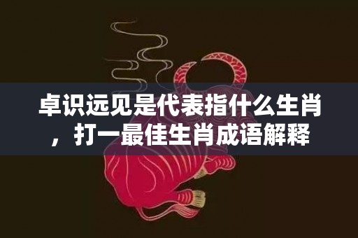 卓识远见是代表指什么生肖，打一最佳生肖成语解释插图