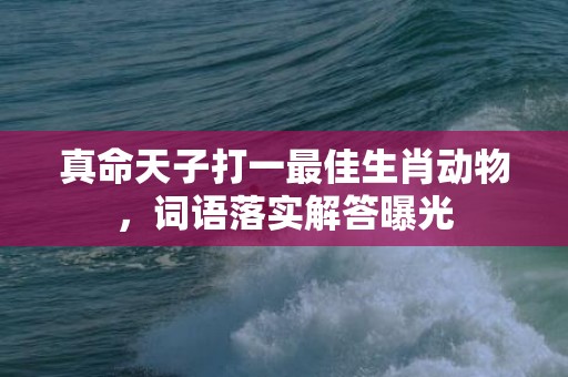 真命天子打一最佳生肖动物，词语落实解答曝光插图