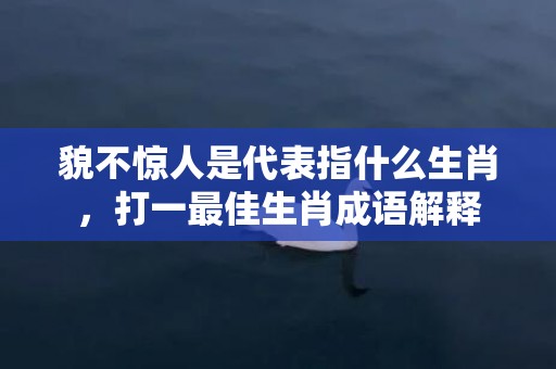 貌不惊人是代表指什么生肖，打一最佳生肖成语解释