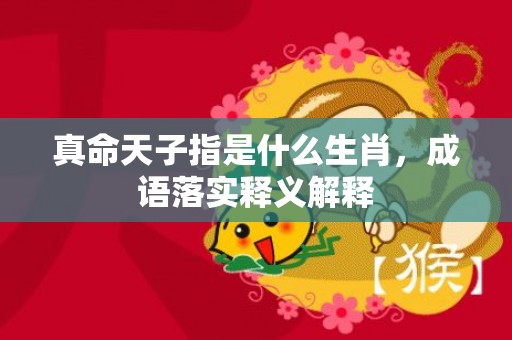 真命天子指是什么生肖，成语落实释义解释插图