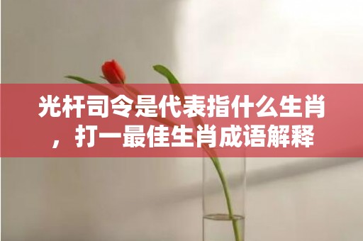 光杆司令是代表指什么生肖，打一最佳生肖成语解释