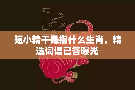 短小精干是指什么生肖，精选词语已答曝光插图