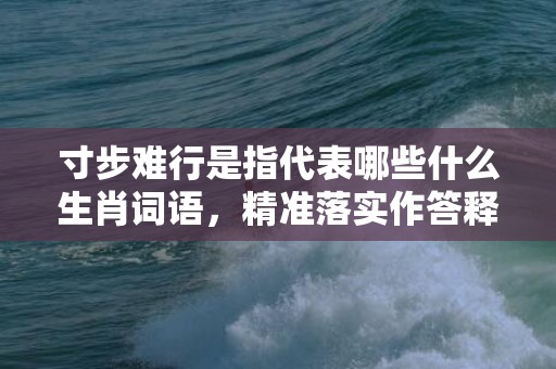 寸步难行是指代表哪些什么生肖词语，精准落实作答释义