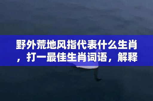 野外荒地风指代表什么生肖，打一最佳生肖词语，解释落实词语释义插图