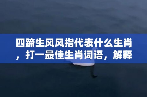 四蹄生风风指代表什么生肖，打一最佳生肖词语，解释落实词语释义插图