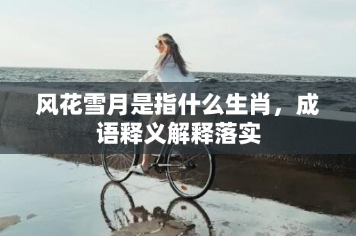 风花雪月是指什么生肖，成语释义解释落实