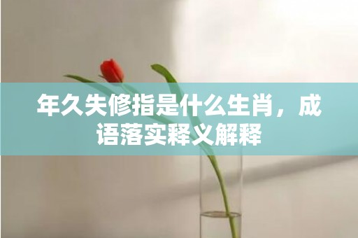 年久失修指是什么生肖，成语落实释义解释插图