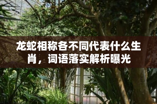 龙蛇相称各不同代表什么生肖，词语落实解析曝光插图