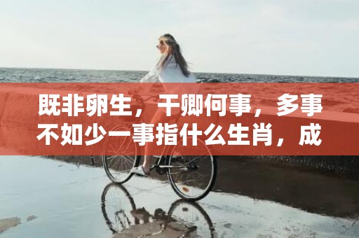 既非卵生，干卿何事，多事不如少一事指什么生肖，成语释义解释落实插图