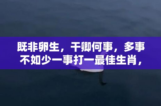 既非卵生，干卿何事，多事不如少一事打一最佳生肖，成语释义解释落实插图