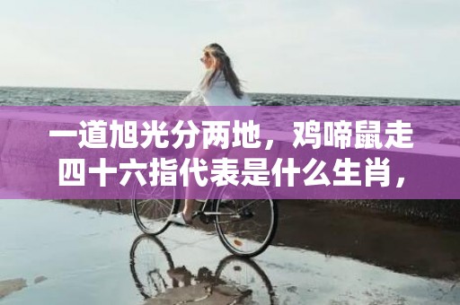 一道旭光分两地，鸡啼鼠走四十六指代表是什么生肖，词语落实释义解答