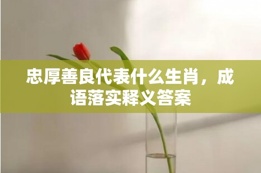 忠厚善良代表什么生肖，成语落实释义答案插图