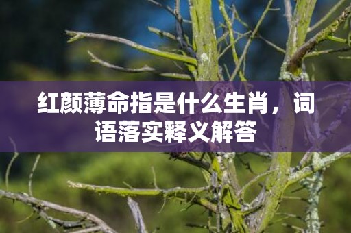 红颜薄命指是什么生肖，词语落实释义解答插图