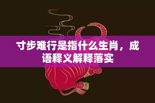 寸步难行是指什么生肖，成语释义解释落实