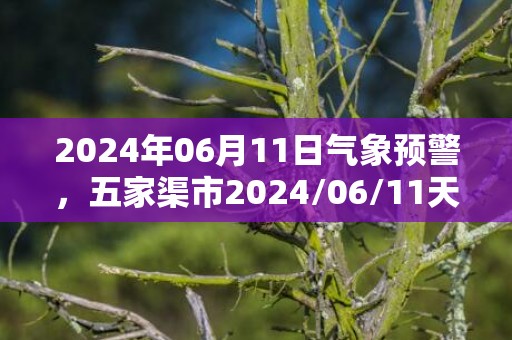 2024年06月11日气象预警，五家渠市2024/06/11天气预报 大部晴转多云