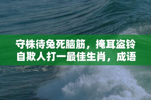 守株待兔死脑筋，掩耳盗铃自欺人打一最佳生肖，成语释义解释落实