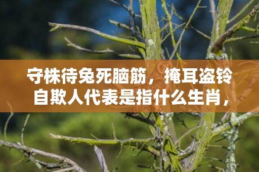 守株待兔死脑筋，掩耳盗铃自欺人代表是指什么生肖，成语释义解释落实插图