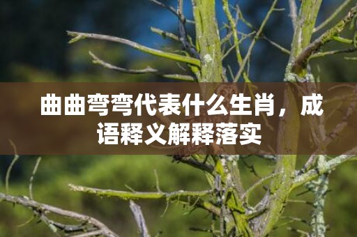 曲曲弯弯代表什么生肖，成语释义解释落实插图