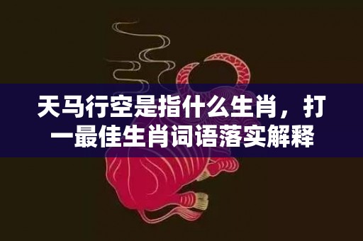 天马行空是指什么生肖，打一最佳生肖词语落实解释