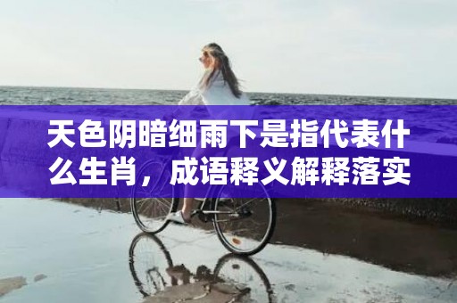 天色阴暗细雨下是指代表什么生肖，成语释义解释落实