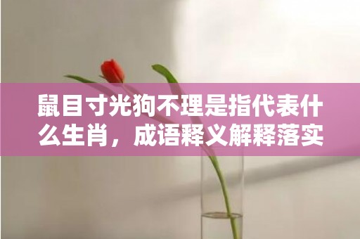 鼠目寸光狗不理是指代表什么生肖，成语释义解释落实