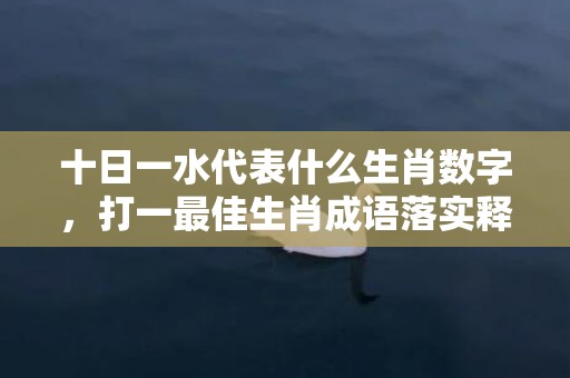 十日一水代表什么生肖数字，打一最佳生肖成语落实释义