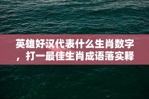 英雄好汉代表什么生肖数字，打一最佳生肖成语落实释义