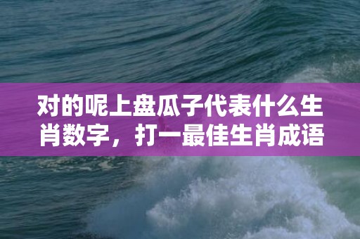 对的呢上盘瓜子代表什么生肖数字，打一最佳生肖成语落实释义