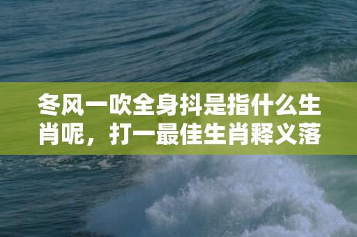 冬风一吹全身抖是指什么生肖呢，打一最佳生肖释义落实插图