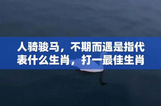 人骑骏马，不期而遇是指代表什么生肖，打一最佳生肖落实释义插图