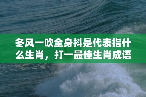 冬风一吹全身抖是代表指什么生肖，打一最佳生肖成语解释