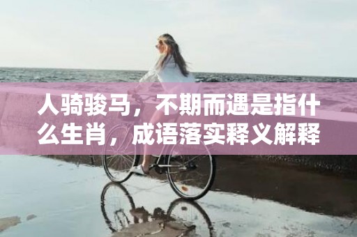 人骑骏马，不期而遇是指什么生肖，成语落实释义解释