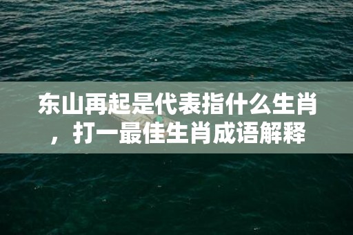 东山再起是代表指什么生肖，打一最佳生肖成语解释插图