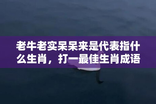 老牛老实呆呆来是代表指什么生肖，打一最佳生肖成语解释插图