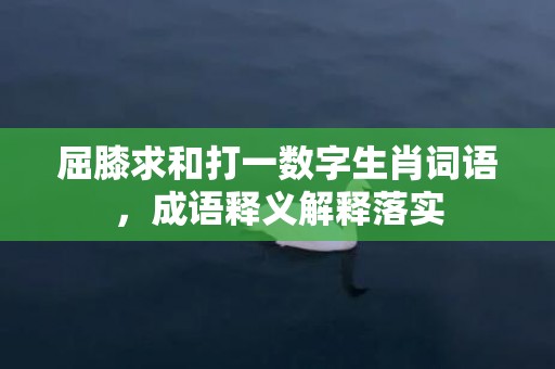 屈膝求和打一数字生肖词语，成语释义解释落实插图