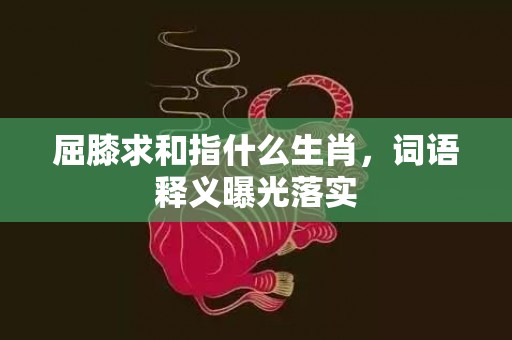 屈膝求和指什么生肖，词语释义曝光落实插图