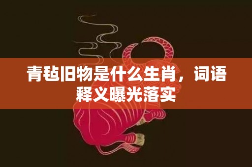 青毡旧物是什么生肖，词语释义曝光落实插图