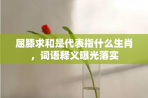 屈膝求和是代表指什么生肖，词语释义曝光落实